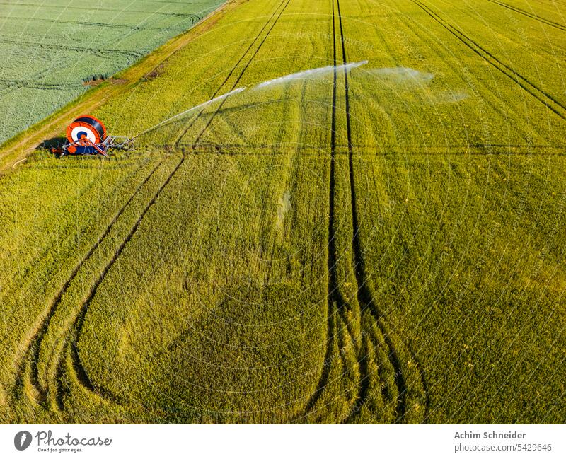 Wasserpumpe mit Wagen und Sprinkler zur Bewässerung eines Feldes aus der Vogelperspektive Karre Sprinkleranlage Luftaufnahme Korn Sommer gesprüht Deutschland