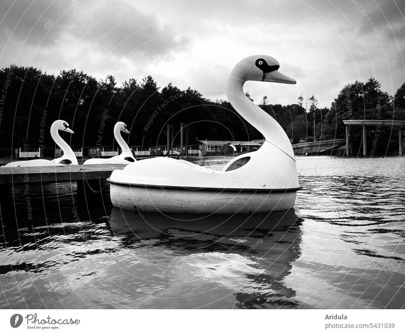 Schwanenfamilie | Tretboote auf dem Badesee s/w Wasser Boot See Baden Schwanenboot Schwimmen & Baden Im Wasser treiben Reflexion & Spiegelung dunkel dramatisch