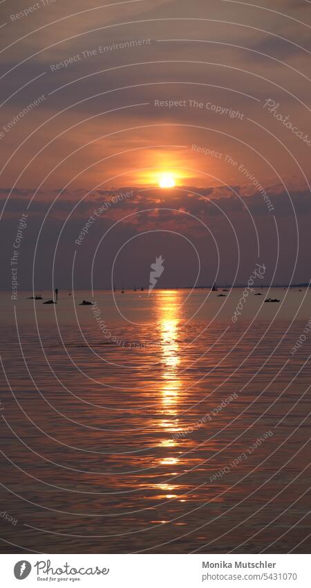 Sonnenuntergang am Bodensee Himmel Wolken Abend Abenddämmerung Dämmerung Natur Landschaft Horizont Sonnenlicht Licht Außenaufnahme Farbfoto orange