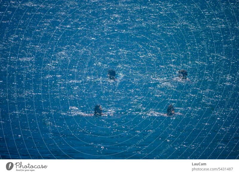 Synchronschwimmen Schwimmen Schwimmer Wasser See Formation baden nass synchron Erfrischung Schwimmen & Baden Ferien & Urlaub & Reisen Schwimmbad Köpfe blau