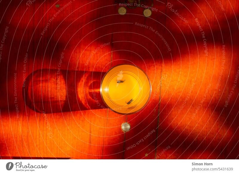 Zwei in Orangensaft ertrunkene Wespen im Sonnenlicht Schatten Lichtstimmung Spätsommer Glas Reflexion & Spiegelung Lichteinfall Tageslicht gelb Sonnengelb