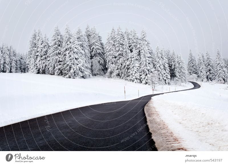 Landstraße Ferien & Urlaub & Reisen Tourismus Ausflug Abenteuer Winter Schnee Winterurlaub Himmel Unwetter Feld Wald Hügel Verkehr Verkehrswege Straße