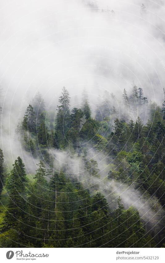 Blick auf die Oberstdorfer Berge im Nebel II Zentralperspektive Starke Tiefenschärfe Kontrast Schatten Licht Tag Textfreiraum Mitte Textfreiraum rechts