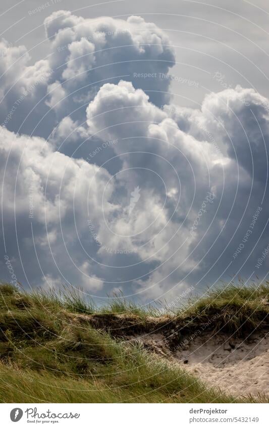 Dünen mit wolkigem Himmel am Strand von Klitmøller in Dänemark Sand Farbfoto Erholung Strandleben Ferien & Urlaub & Reisen baden Erholungsgebiet Urlaubsstimmung