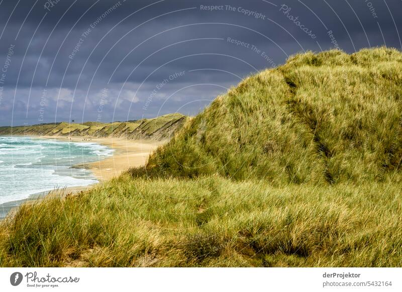 Dünen am Strand von Vorupør in Dänemark Sand Farbfoto Erholung Strandleben Ferien & Urlaub & Reisen baden Erholungsgebiet Urlaubsstimmung Meer Strandspaziergang