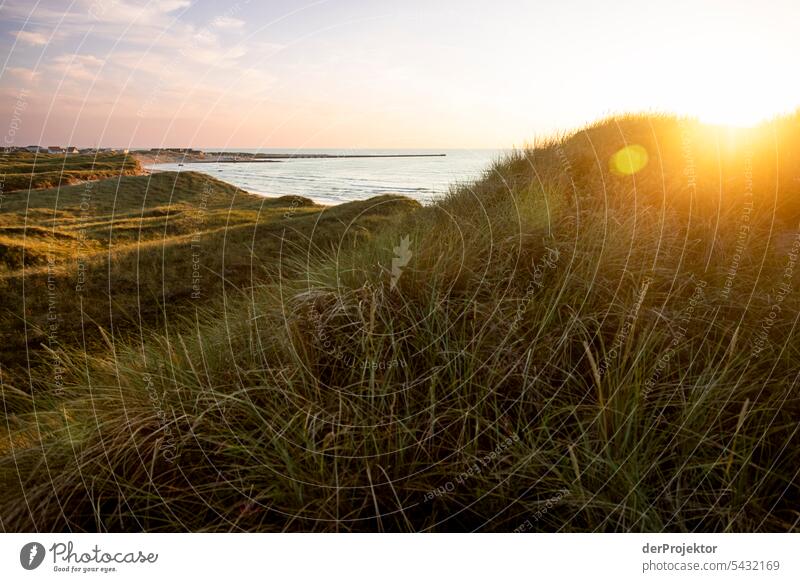 Dünen am Strand von Vorupør in Dänemark im Sonnenuntergang Sand Farbfoto Erholung Strandleben Ferien & Urlaub & Reisen baden Erholungsgebiet Urlaubsstimmung