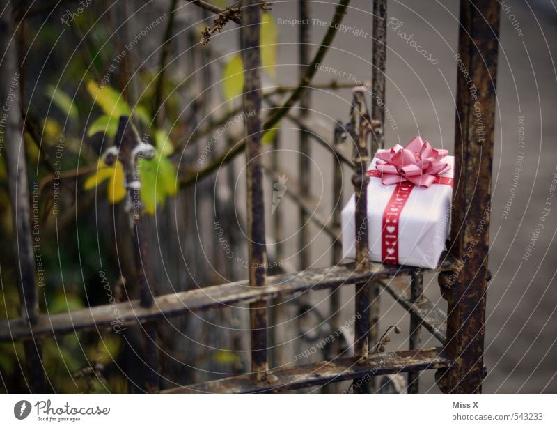 Versteckt Häusliches Leben Garten Dekoration & Verzierung Feste & Feiern Valentinstag Muttertag Weihnachten & Advent Geburtstag Verpackung Paket Herz Schleife