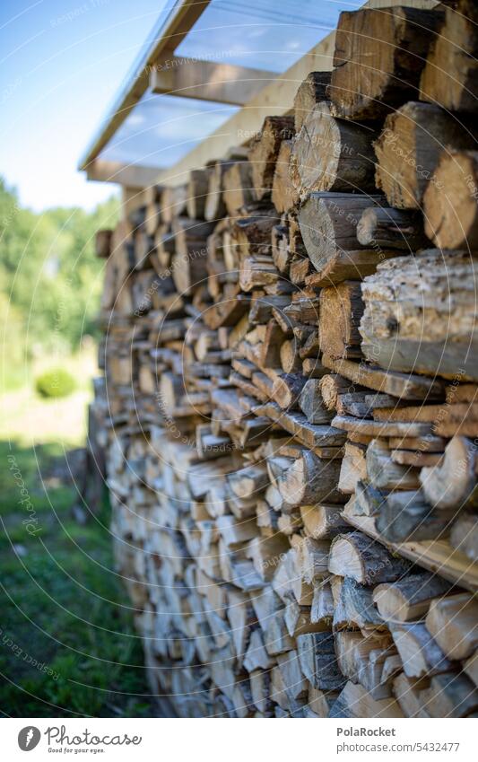 #A0# Holz - Hauptsache vorbereitet... Stapelholz Holzstapel trocknen Lagerung Brennholz Natur Baum Nutzholz Forstwirtschaft Wald geschnitten Umwelt gestapelt