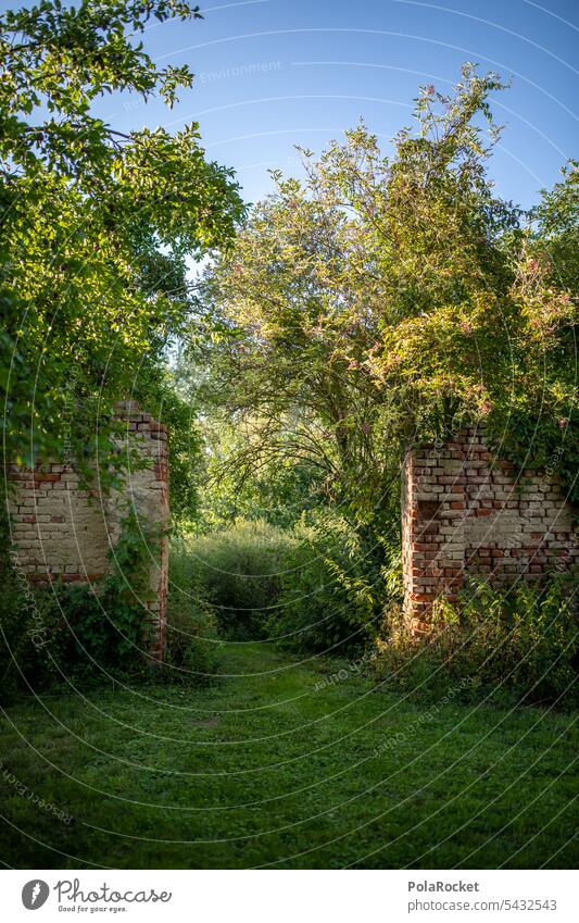 #A0# Ruinen heute. zerfall zerfallen Ruinenstätte Ruinenstadt lost places grün verlassen kaputt verfallen Vergänglichkeit alt Wandel & Veränderung Verfall