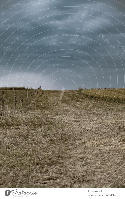 Abgeerntetes Getreidefeld unter grauem Wolkenhimmel Ernte Stoppelfeld Getreideernte Feld Landwirtschaft Natur Sommer Ackerbau Stroh Umwelt Horizont Himmel