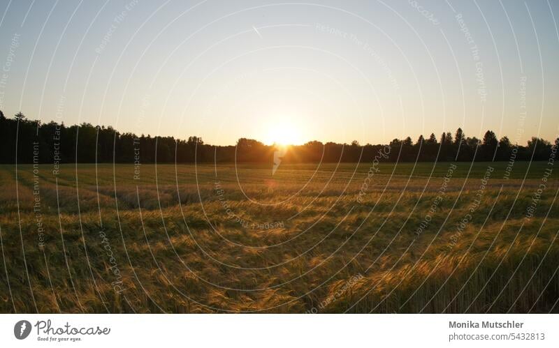 Sonnenuntergang in der Heimat Sonnenuntergangshimmel Sonnenuntergangsstimmung Himmel Dämmerung Abenddämmerung Außenaufnahme Stimmung Landschaft Abendstimmung