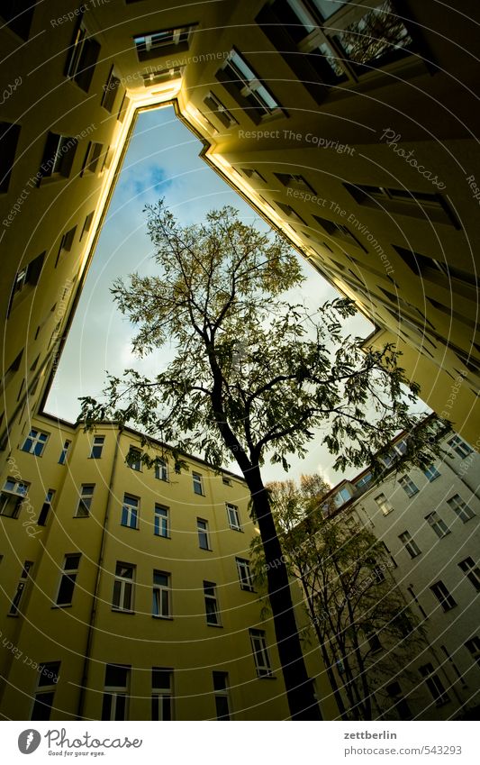 Innenhoch Baum eng Froschperspektive Herbst Himmel Perspektive Baumstamm Wolken Hinterhof Innenhof Berlin Plattenbau Stadthaus Mieter Vermieter Fenster