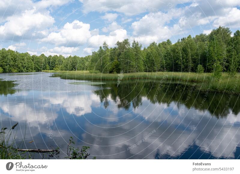 See in grüner Natur mit blauem Himmel und weißen Wolken Wasser Deutschland Land Ausflugsziel Hessen Bäume Anziehungskraft Baum Hintergrund Rotes Moor