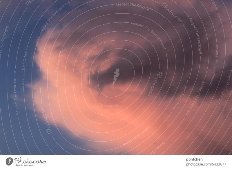 eine große, rosa gefärbte wolke vor blauem himmel. sonnenuntergang. abendlicht lichtstimmung bewölkt schönheit natur Sonnenlicht Dämmerung gewitter wetter