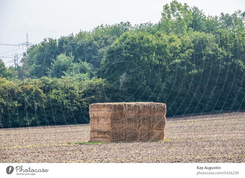 Strohhaufen auf einem Feld Acker Landwirtschaft Strohballen Landstroh Erntezeit Acker abgeerntet Stroh gestapelt Ordnungsgemäß Sauberkeit Gleichmäßig Natürlich