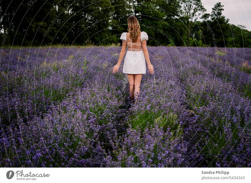 Mädchen steht im weissem Kleid im Lavendelfeld Lavendelshooting Porträit blond Haare Kleid weiss Haare & Frisuren Frau weiß schön Porträt Mensch