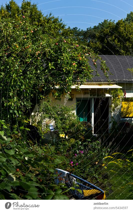 Garten im Sommer ast baum blühen blüte dunkel dämmerung erholung erwachen ferien garten hecke kleingarten kleingartenkolonie knospe korbblütler menschenleer