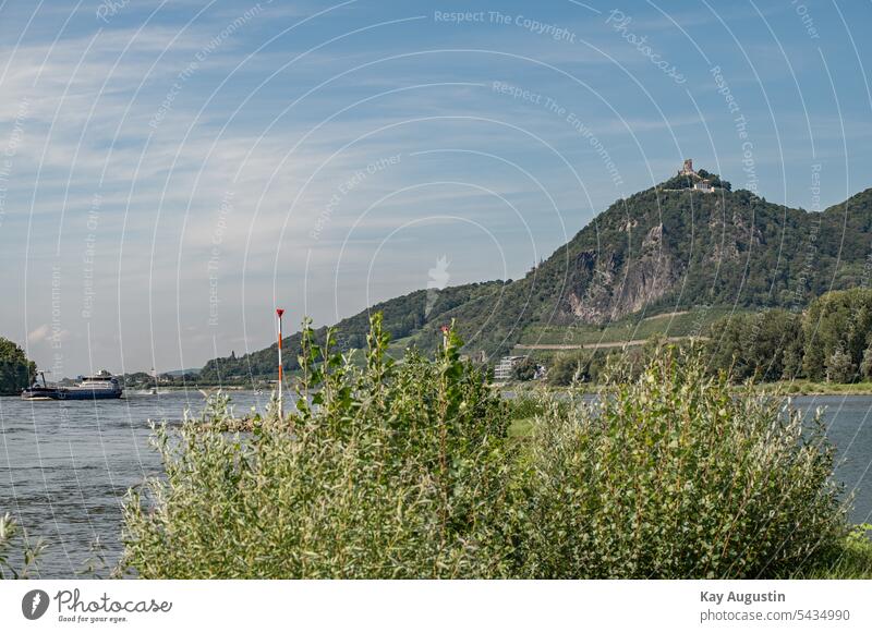 Blick von der Insel Grafenwerth auf den Drachenfels Siebengebirge Burg Burgruine Bad Honnef Buhne Rhein Steinbuhne Rheinlandschaft Sieben Gebirge Natur