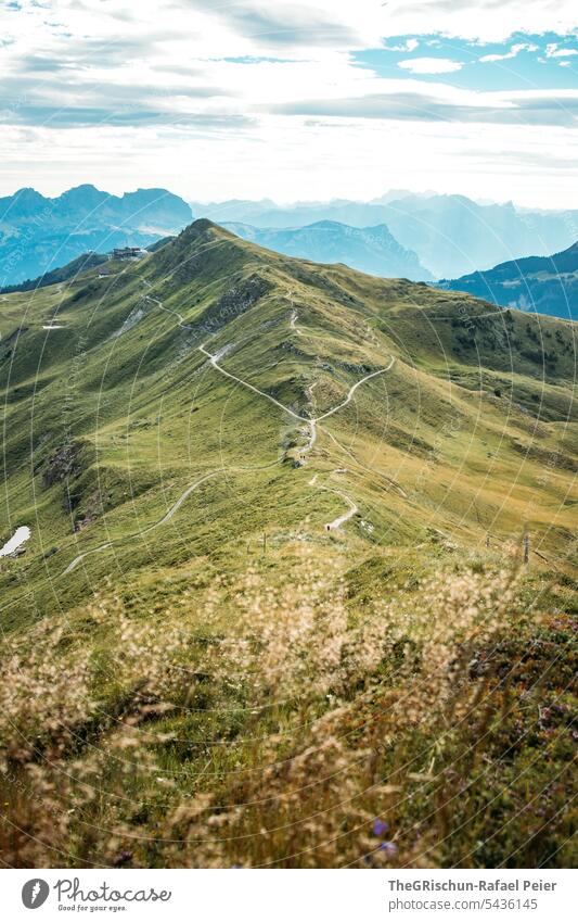 Hügel mit Wanderwegen mit Bergen im Hintergrund Berge u. Gebirge grün Wiese Himmel Pfad wanderweg Natur Landschaft wandern Umwelt Tourismus Alpen Wolken