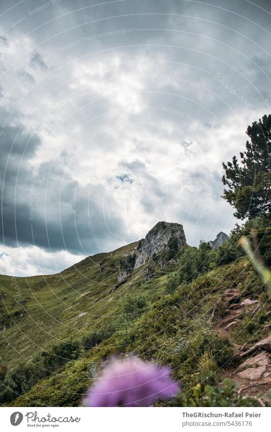 Düstere Stimmung in den Bergen mit Blume im Vordergrund Wanderung Schweiz Wolken Berge u. Gebirge Alpen Bergpanorama Wolkenhimmel Panorama (Aussicht) Himmel