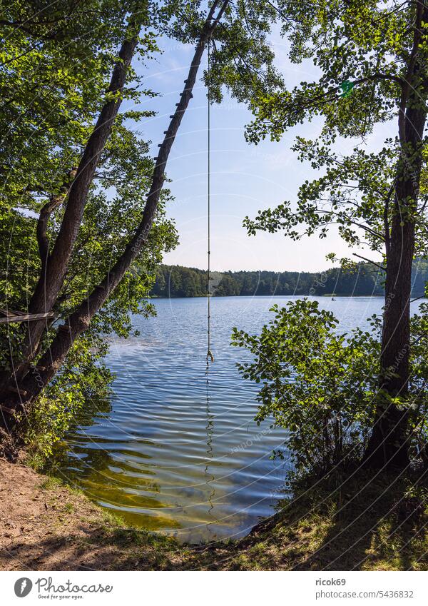 Bäume und Badestelle am Pipersee bei Salem See Schleswig-Holstein Ufer Baum Wald Landschaft Natur Sommer Wasser Seil Himmel Wolken blau grün Idylle Urlaub Reise