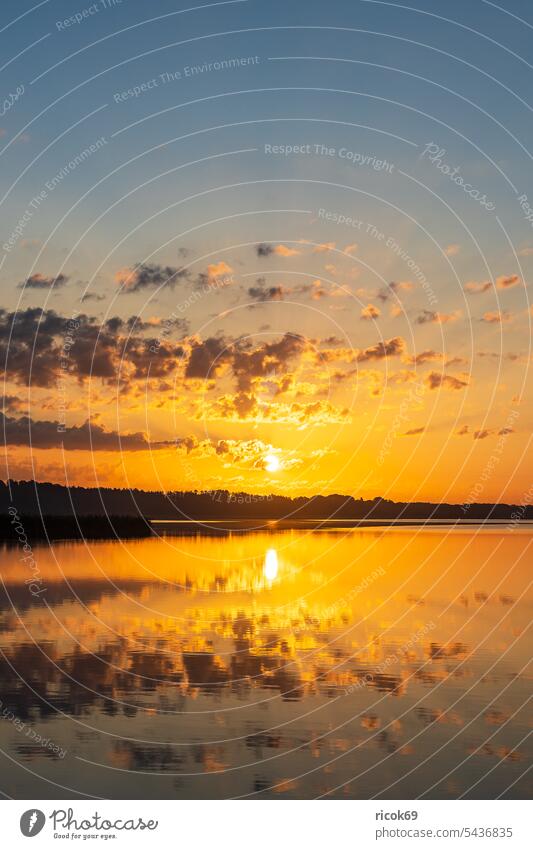 Sonnenaufgang in Seedorf am Schaalsee mit Wolken und Spiegelung Schleswig-Holstein Ufer Landschaft Natur Sommer Wasser Baum Wald Himmel blau orange gelb Idylle