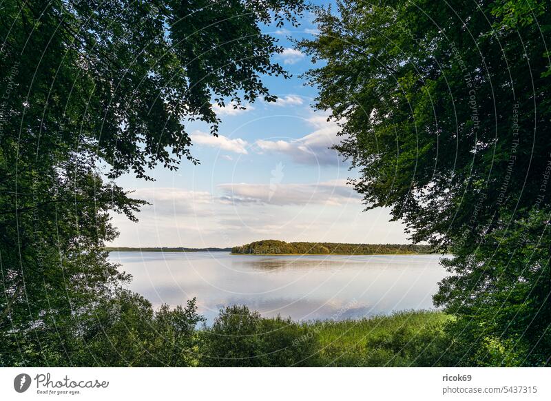 Seeblick mit Bäumen in Seedorf am Schaalsee Schleswig-Holstein Ufer Landschaft Natur Sommer Wasser Baum Wald Himmel Wolken blau grün Idylle Urlaub Reise