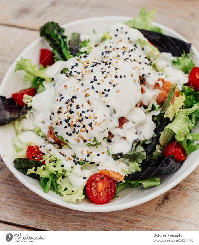 Gourmetteller mit Caesar-Salat mit Hähnchen, Parmesan und knusprigem Brot Amuse-Gueule Rucola Hintergrund Caprese Käse Nahaufnahme Salatgurke Küche lecker Diät