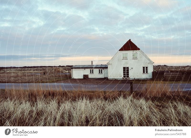 der weite blaue himmel. Umwelt Natur Landschaft Gras Sträucher Wiese Feld Hügel Nordsee Dorf Fischerdorf Haus Einfamilienhaus Hütte alt Ferne wild Wolken Straße