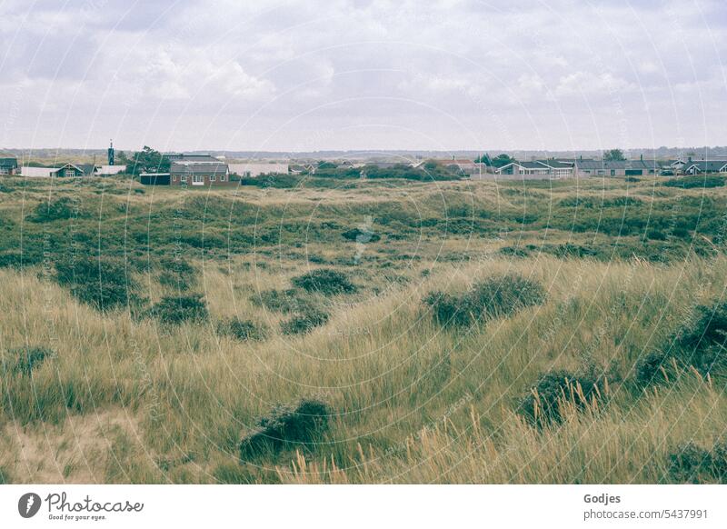 dänische Landschaft, Rømø Dänemark Röm Wiesen Dünen Häuser Wolken Himmel Küste Natur Ferien & Urlaub & Reisen Tourismus Dünengras Nordseeküste Erholung Sand