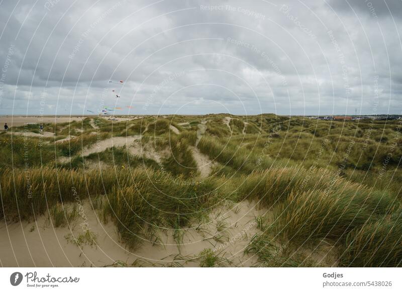 Dünenlandschaft an der Nordsee, Rømø, Dänemark Dünengras Himmel Wolken Sand Norseeküste Ferien & Urlaub & Reisen Strand Natur Küste Landschaft Nordseeküste Meer