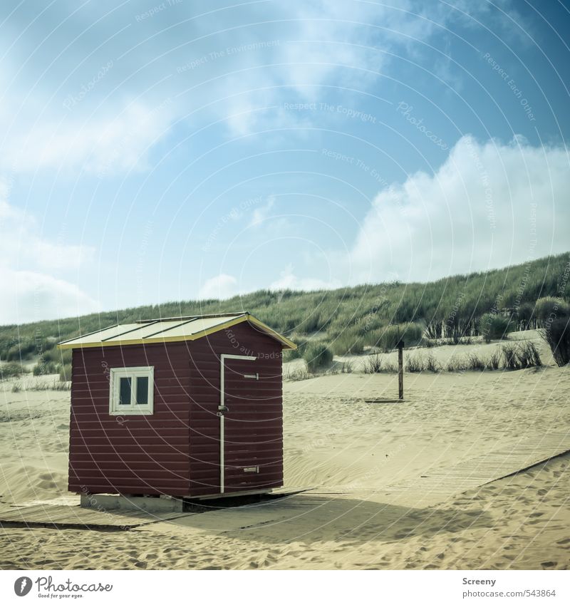 Beachclub Ferien & Urlaub & Reisen Tourismus Sommer Sommerurlaub Strand Meer Insel Wolken Schönes Wetter Dünengras Küste Nordsee Juist Stranddüne Hütte Fenster