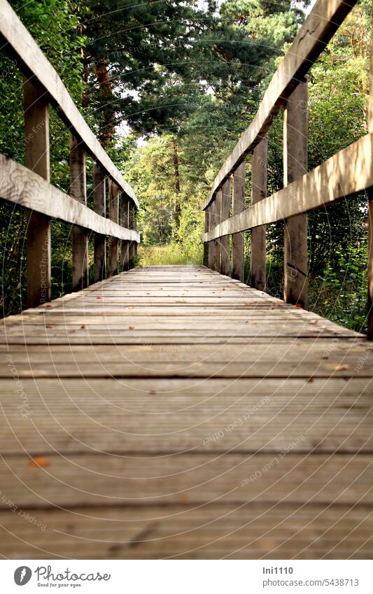 neuer Holzsteg im Neustädter Moor Waldboden moorig Untergrund Landschaftsplege Holzbrücke Holzbretter Geländer Kiefern Wäldchen Perspektive