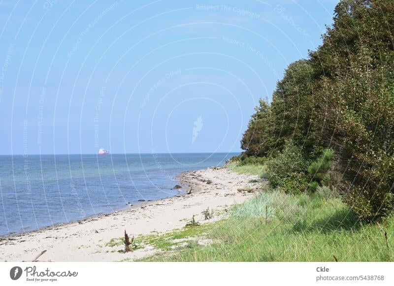 Schiff entfernt sich von einsamer Küste Strand Meer Himmel Wasser Wolken Bäume Røjle Klint Steine Einsamkeit Wildnis Ferne Reise Abenteuer Landschaft Tourismus