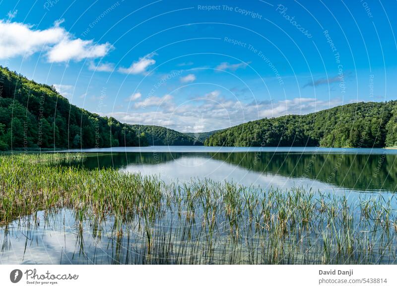 Der Nationalpark Plitvicer Seen ist einer der ältesten und größten Nationalparks in Kroatien. Dieses Foto wurde im Juli 2023 aufgenommen. Anziehungskraft