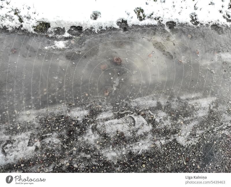 Nasser Schnee Winter Wetter weiß kalt Schneedecke Wintertag Winterstimmung Natur Schneelandschaft Frost Kälte Landschaft Außenaufnahme Menschenleer Umwelt Baum