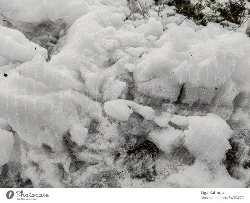 Schnee-Hintergrund Winter Wetter Frost Kälte Schneedecke Winterstimmung kalt Schneelandschaft Natur Außenaufnahme Umwelt Landschaft Winterlandschaft