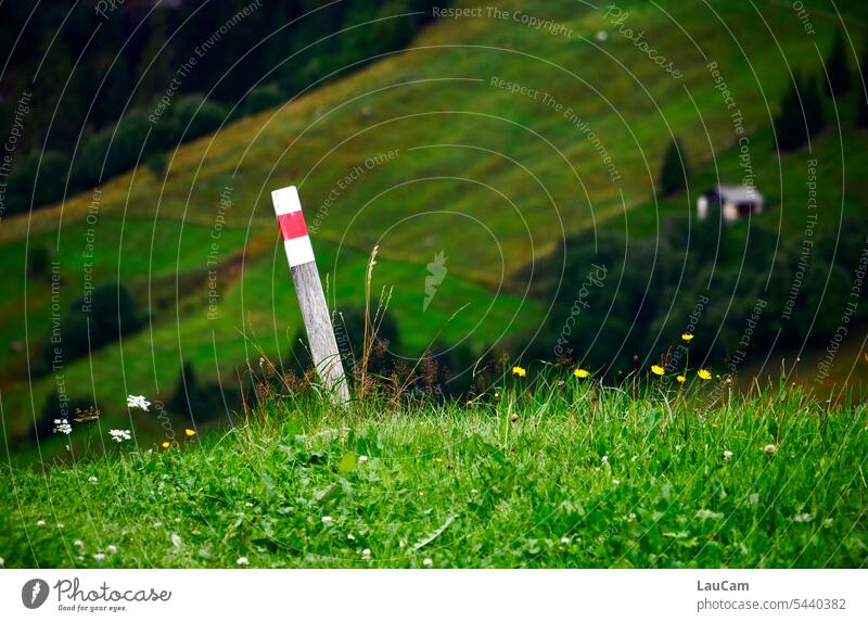 Wegweiser - ab hier geht’s abwärts Wandern Wanderweg Orientierung wandern Pfaf Landschaft Berge in den Bergen Alpen Natur grün Wiese Erholung draußen Bergluft