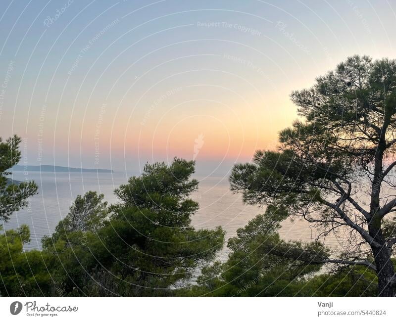 Blick auf das Meer Sonnenuntergang Himmel wolkenlos Sonnenlicht Natur Landschaft Abend Dämmerung Außenaufnahme Horizont Menschenleer Farbfoto Urlaub Stille