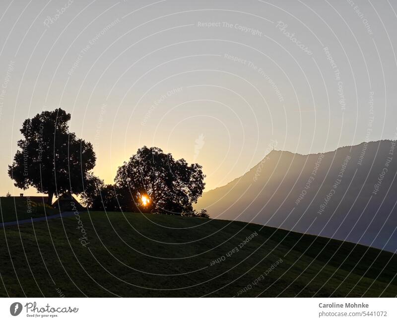 Sonnenaufgang an der Rigi Schweiz Morgen Morgenstimmung Licht Stimmung Natur Landschaft Morgendämmerung morgens Menschenleer Morgennebel ruhig Außenaufnahme