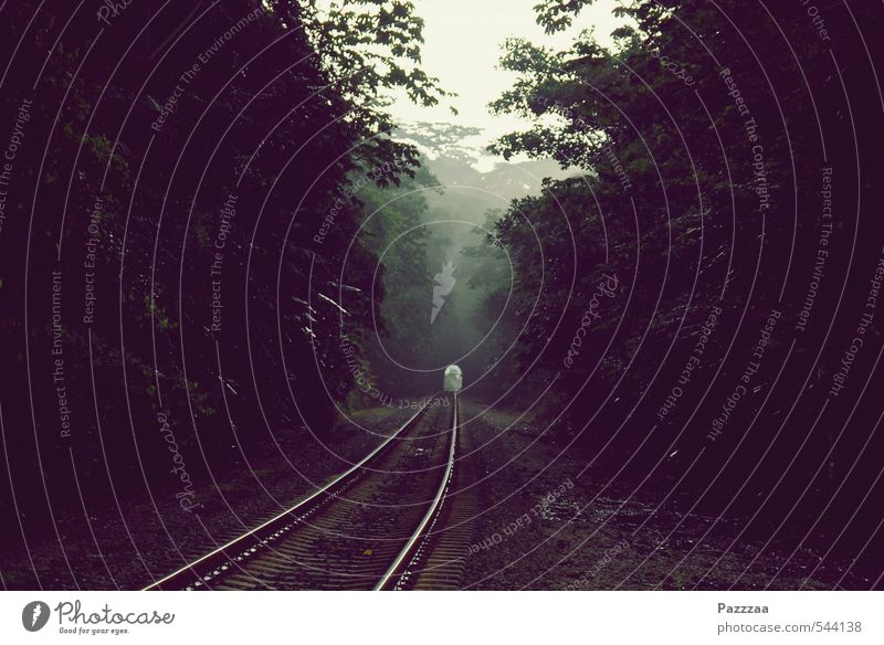 Bahnstrecken der Welt, Teil 96: Panama. ruhig Abenteuer Ferne Expedition Güterverkehr & Logistik Pflanze Nebel Baum Wald Urwald Tunnel Verkehrswege Bahnfahren