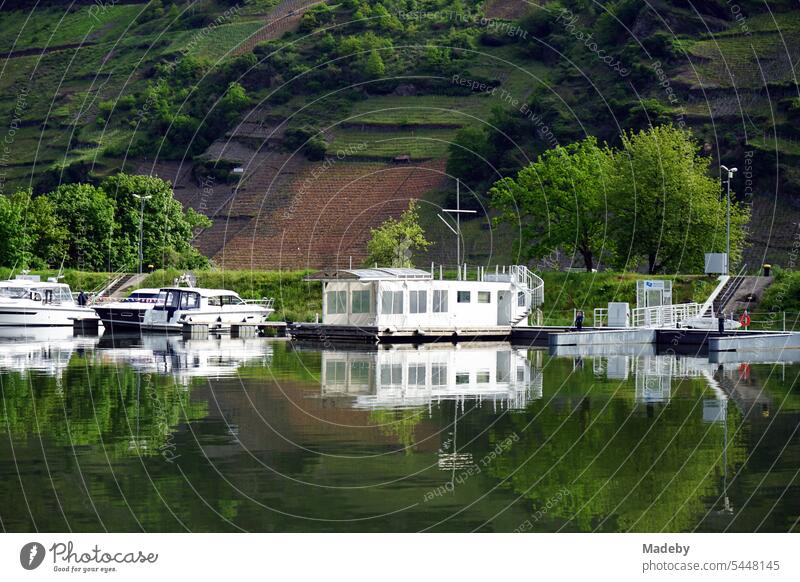 Hausboot, Boote und Yachten im Sommer im Yachthafen an der Mosel zwischen Weinbergen in Traben-Trarbach in Rheinland-Pfalz in Deutschland hausboot yachthafen