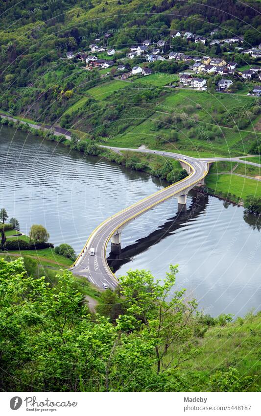 Herrliches Panorama an der Mosel mit grandioser Landschaft und moderner Brücke zwischen Berg und Tal bei Sonnenschein in Traben-Trarbach im Kreis Bernkastel-Wittlich in Rheinland-Pfalz in Deutschland