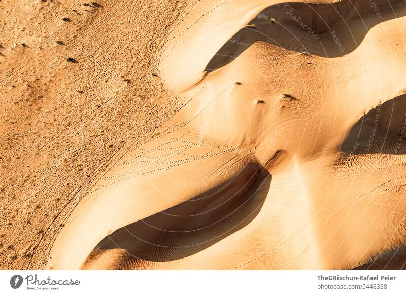 Sanddüne mit Licht und Schattenspiel mit Strukturen Außenaufnahme Farbfoto Natur Sonne Tourismus Wahiba Sands Oman omanische Wüste Landschaft