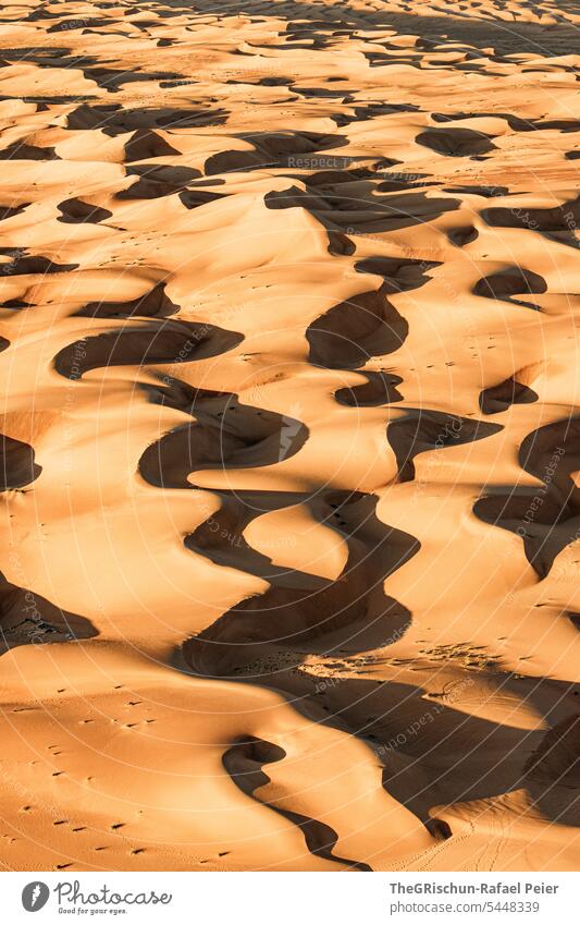 Sanddüne mit Licht und Schattenspiel mit Strukturen Sonnenlicht Außenaufnahme Farbfoto Natur Tourismus Wahiba Sands Oman omanische Wüste Landschaft