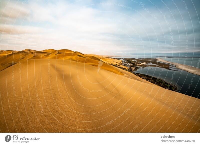 traumhaft Himmel Walvisbay Wärme Swakopmund beeindruckend magisch Düne sanddüne Dünen sandwich harbour Einsamkeit Natur Ferien & Urlaub & Reisen Landschaft