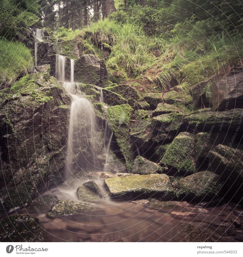 Wasserkraft II Sommer Sommerurlaub Berge u. Gebirge Umwelt Natur Pflanze Tier Teich Bach Fluss Wasserfall Wachstum ästhetisch Zufriedenheit Wellness Farbfoto