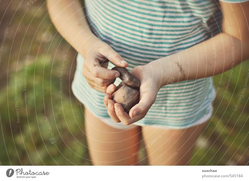 wurfgeschosse androgyn Mädchen Junge Kind Kindheit Arme Hand Finger Kindererziehung 8-13 Jahre Umwelt Natur Sommer Schönes Wetter Gras Sträucher Stein Freiheit