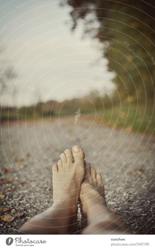 einzel-lieger Körper Haut Beine Fuß 1 Mensch Umwelt Natur Landschaft Himmel Herbst Beton liegen nackt Einsamkeit kalt Tod Unfall Wunde Asphalt Blatt Strasse