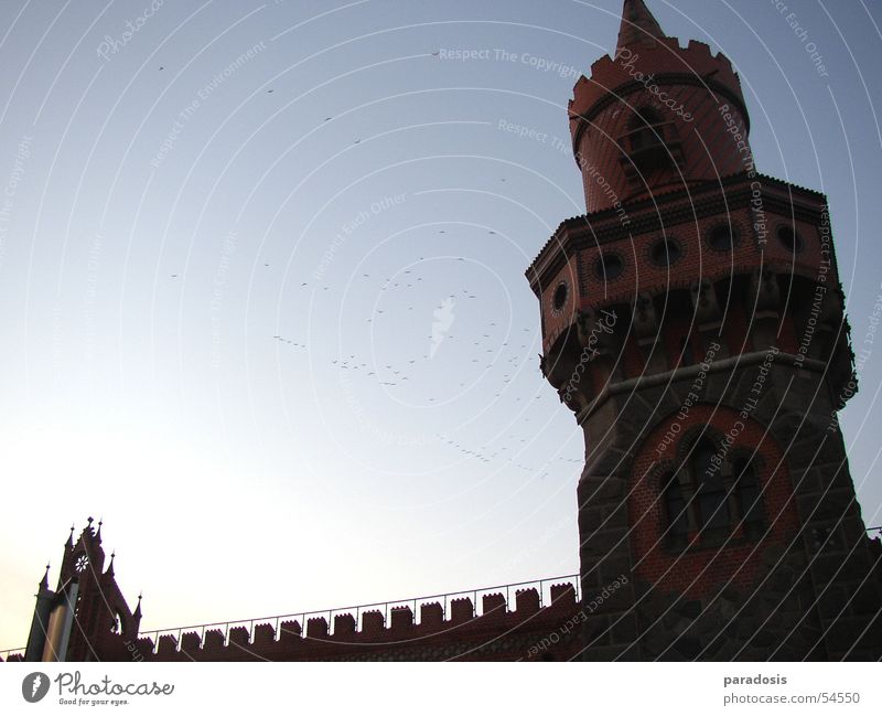 Berlin Spreebogen Oberbaum-City Vogel Zugvogel Osten Winter Zinnen Backstein Friedrichshain Kreuzberg Brücke Himmel möven blau Turm